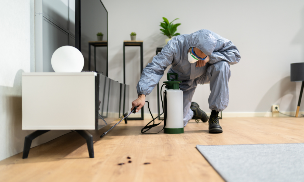 Pest Control Supplies