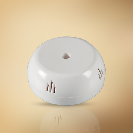 Indoasian Ceiling Rose