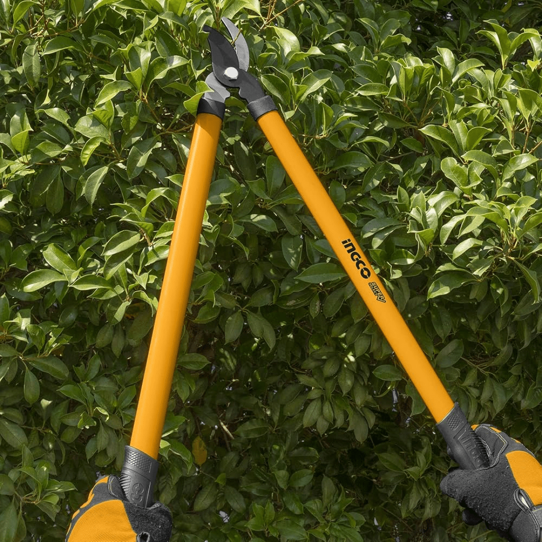 Ingco Gardening Tool Ingco 3 Pieces Hedge Shear - HLT78033