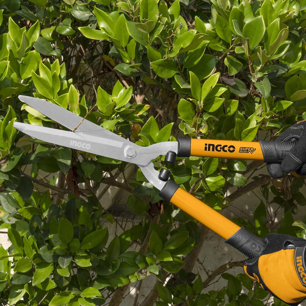 Ingco Gardening Tool Ingco 3 Pieces Hedge Shear - HLT78033