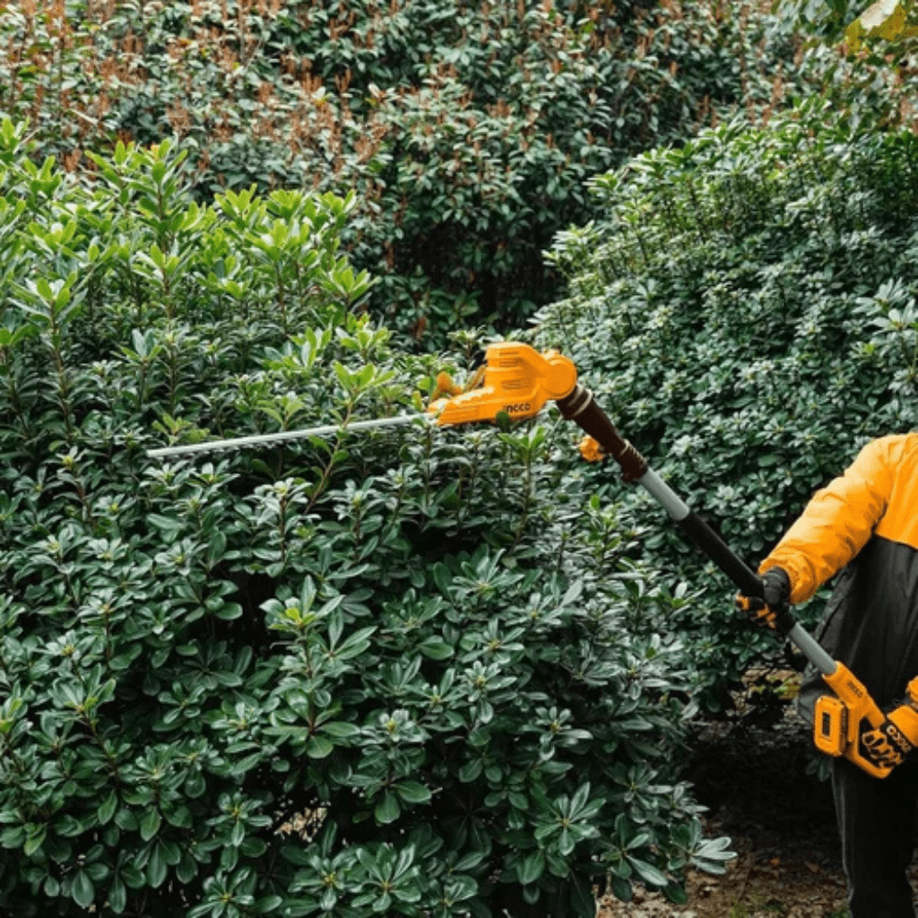 Ingco Trimmer Ingco Lithium-Ion Cordless Pole Saw with Pole Hedge Trimmer with 20V 2.0Ah Battery & Charger - CPTS201681