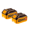 Ingco Batteries & Chargers Ingco Two Pieces 20V 5.0Ah Lithium-Ion Battery Pack – COSLI240464