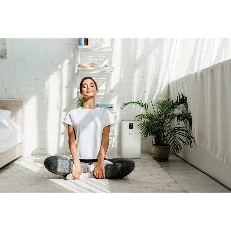 Karcher Air Cleaner Karcher Air Purifier AF 30