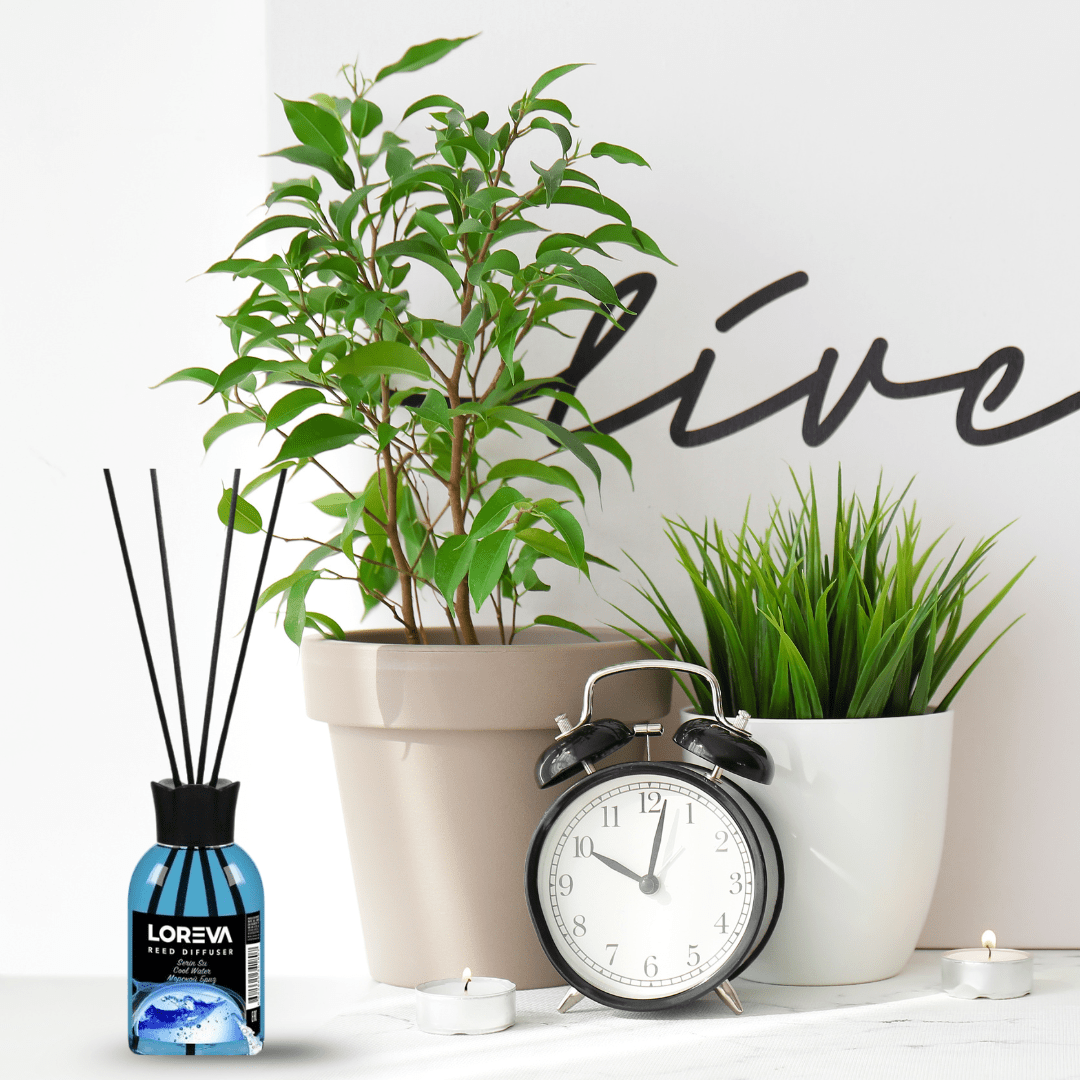 Loreva Air Fresheners & Odor Control Loreva Serin Su Cool Water Reed Diffuser