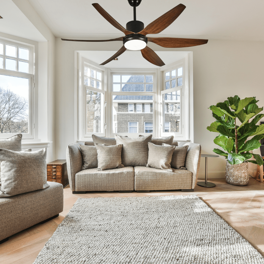 SM Electrical Ceiling Lights Modern Art Ceiling Fan with LED Light and Remote Control - ESC-216