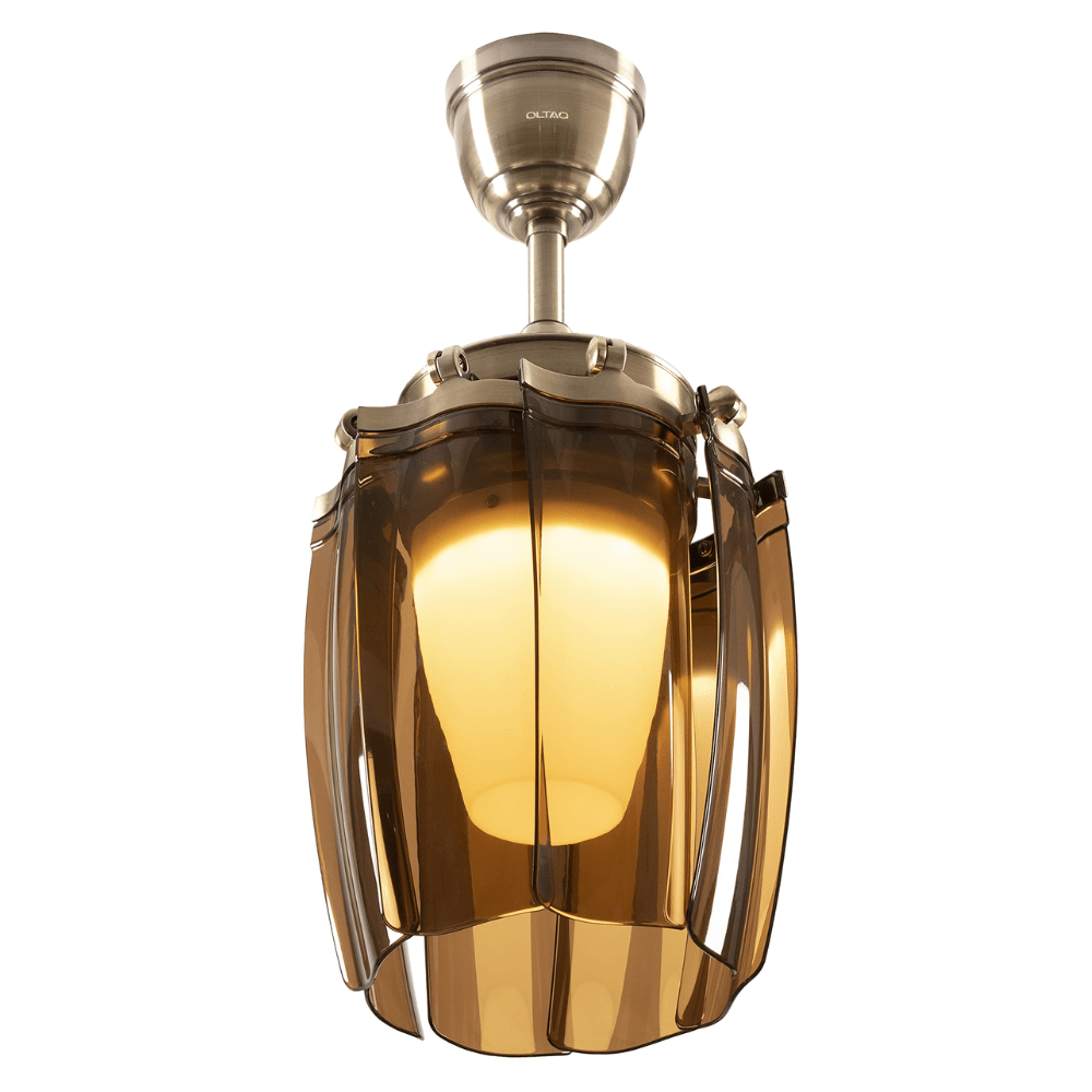 SM Electrical Ceiling Lights Modern Oltao Chandelier Fan With Bldc Motor Reverse Air Flow Summer - ESC-400