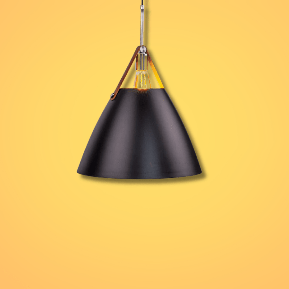 TKLD Pendant & Chandeliers Cosme Nordic Black Metal Funnel Pendant Ceiling Light - D270mm/D355mm