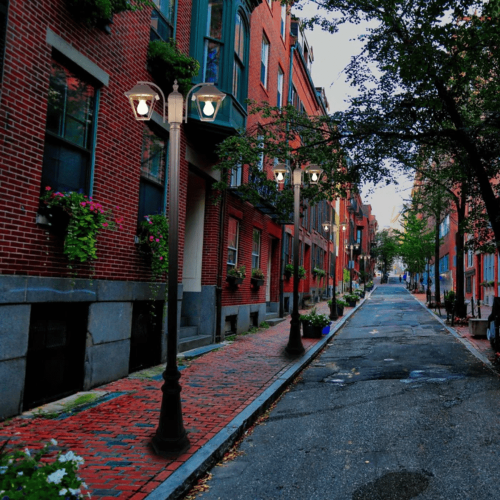 TKLD Pendant & Chandeliers Cottage Style Matt Black Clear Glass 2 X E27 Post Top Lamp - 2 X 60W