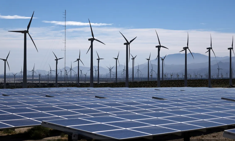 Solar & Renewable Energy