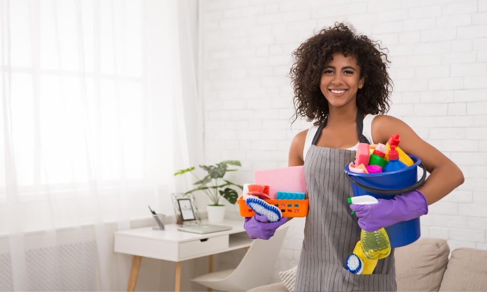 Buy Cleaning Supplies: Mops, Brushes, Disinfectants & More | Shop Home ...