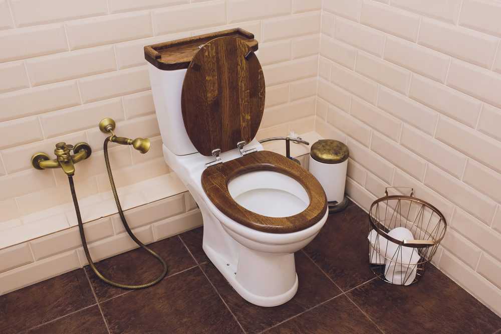 Toilet Bowl & Urinals