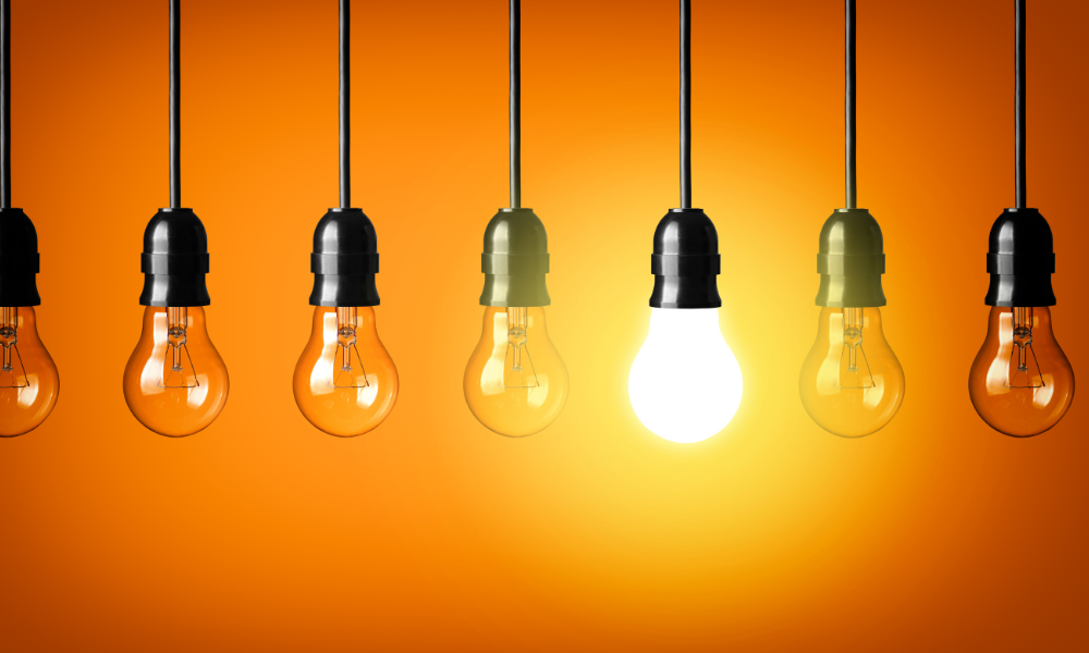 Light Bulbs & Fixtures