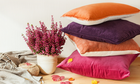 Decorative Cushions & Throws