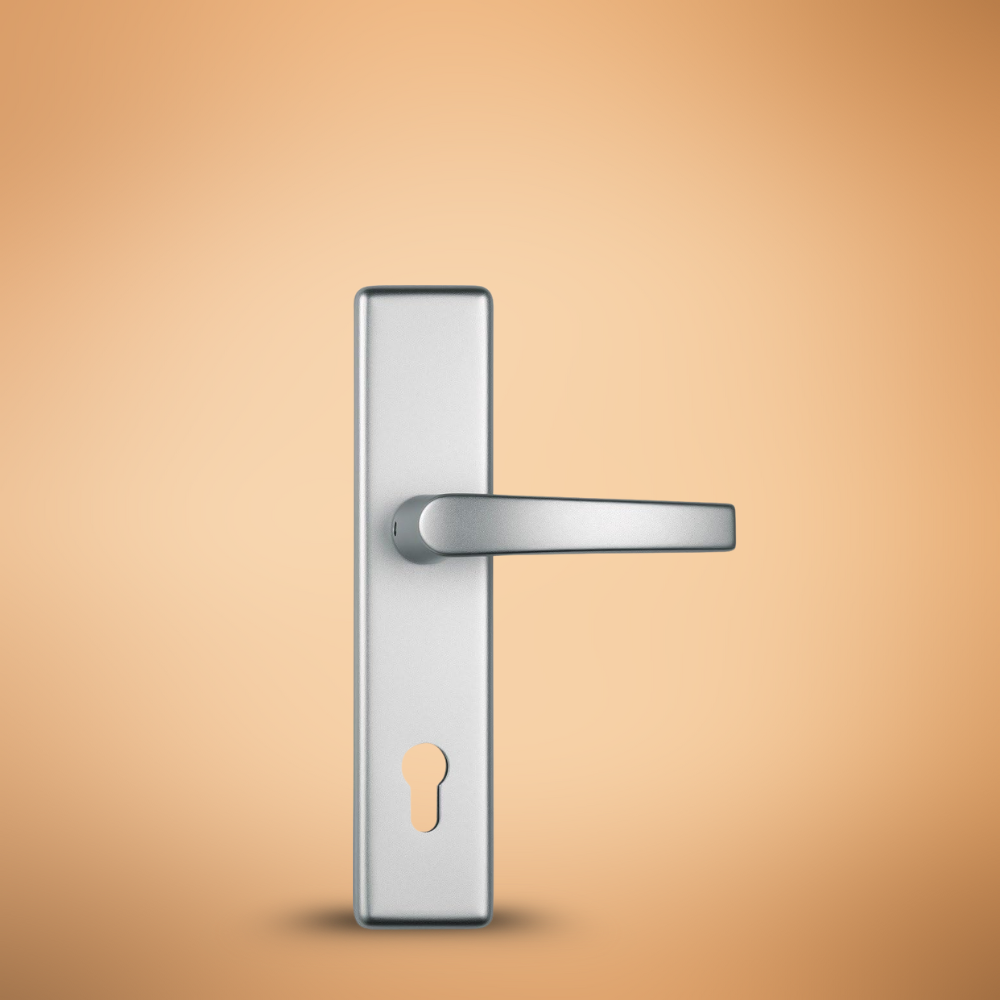 ABUS Double Sided Door Handle - HLT612