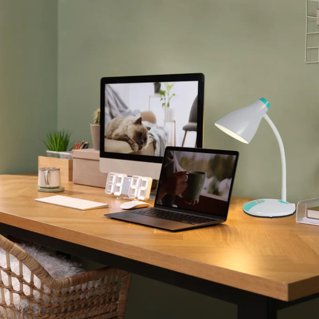 Adjustable Gooseneck LED Desk Lamp with Dual Colour Design