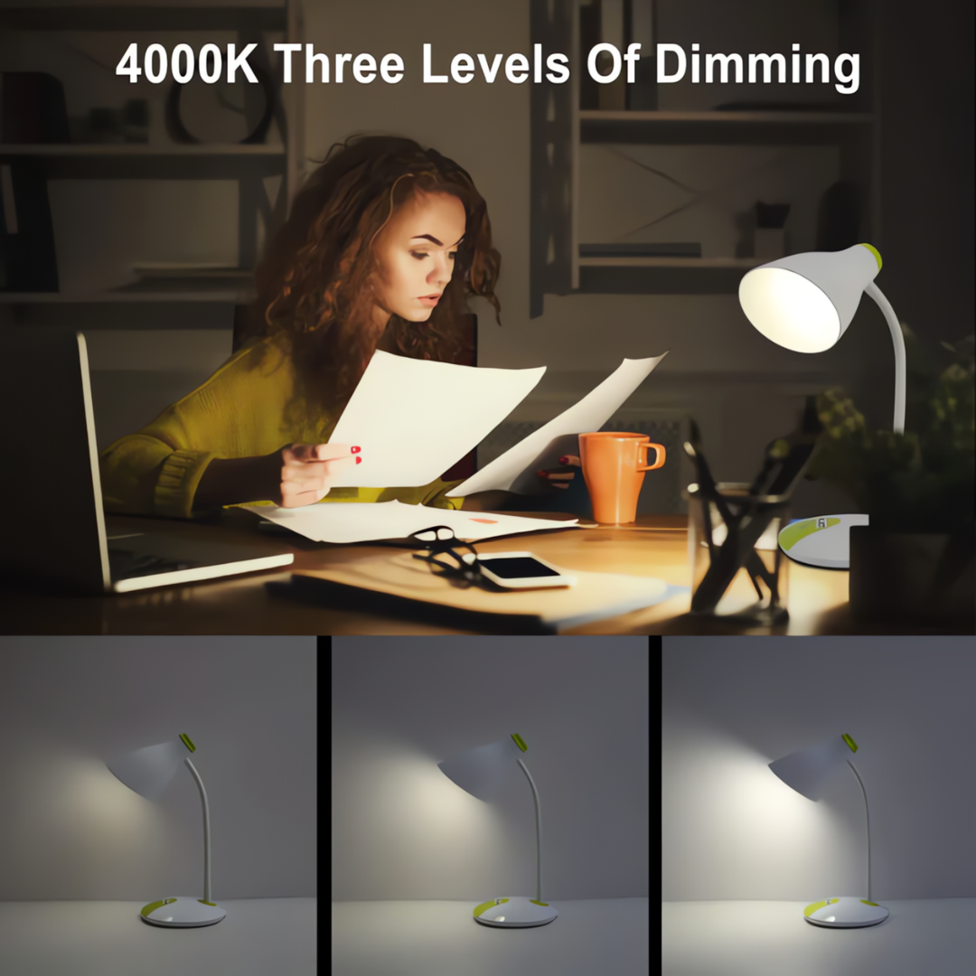 Adjustable Gooseneck LED Desk Lamp with Dual Colour Design