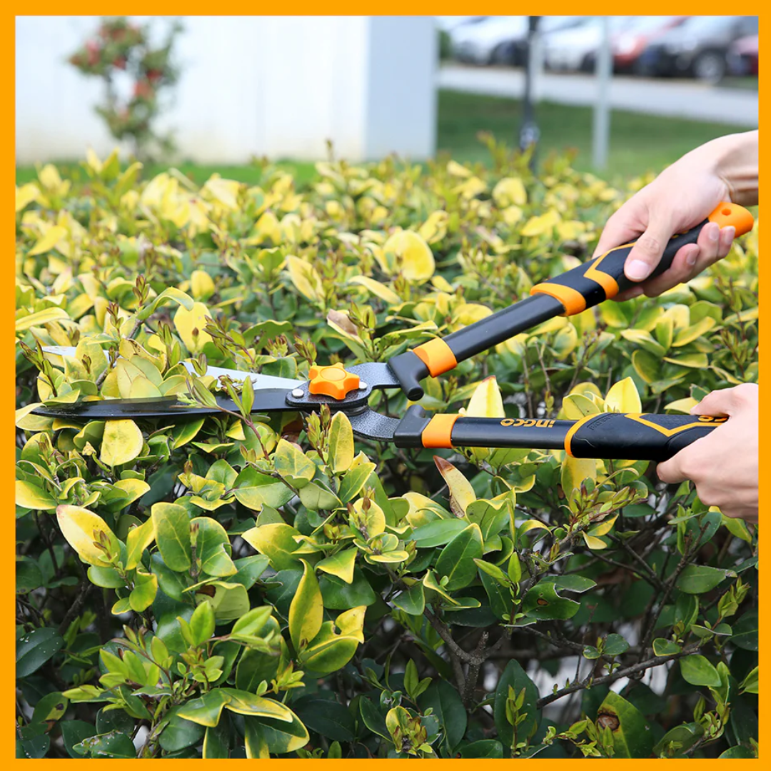 Ingco 24.5" Hedge Shear with Teflon-Coated Blade – HHS6301