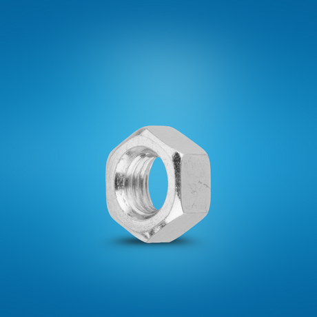 Wadfow 600 Pieces Carbon Steel Hex Nut Set - WMV1506A