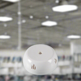 Indoasian Ceiling Rose