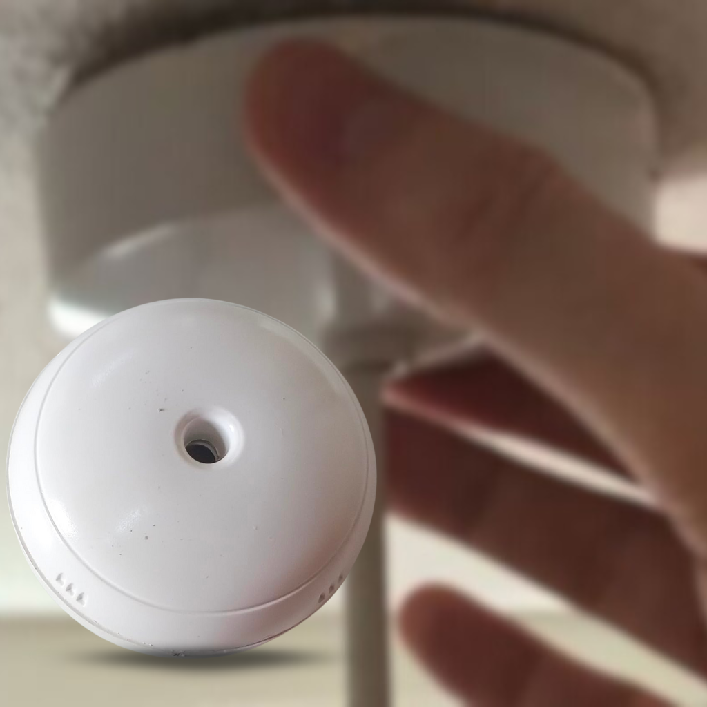 Indoasian Ceiling Rose
