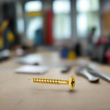 Wadfow 900 Pieces 4x40mm Chipboard Screw - WXS5522