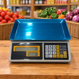 Tera 40kg Digital Countertop Weighing Scale with Power Adapter - H300505