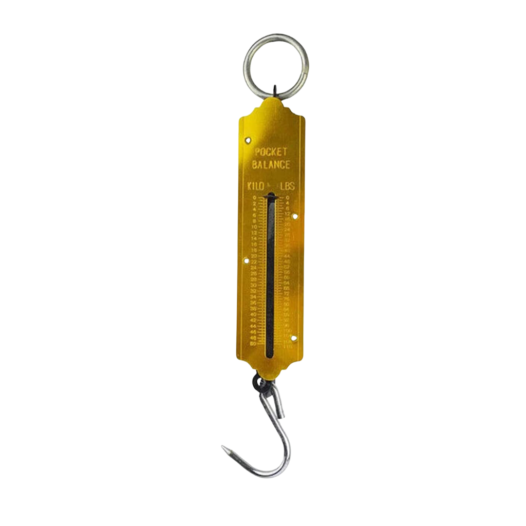 Tera Mechanical Spring Hanging Scale | 25kg, 50kg & 100kg