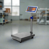 Wadfow 100kg Cordless Lithium-Ion Scale with 12V 1.5Ah Battery – WEC1302