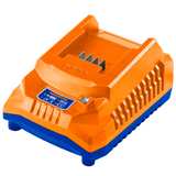 Wadfow P20S Battery Charger - WFCP518