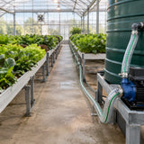 Organised greenhouse irrigation aisle with healthy crops and Berry clear reinforced suction hose beside the transfer pump