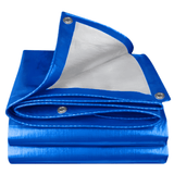 Dyllu Paint Tools & Equipment Dyllu 6m x 8m Polyethylene Tarp - DTTQ1868
