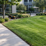 Evenly finished institutional courtyard lawn with the Marsant self-propelled mower resting at the completed mowing edge