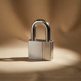 Abloy Padlocks & Accessories Abloy High-Security Steel Padlock with 50mm Shackle Clearance - PL350T/50