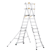 Cagsan Ladder & Access Equipment Cagsan TelePro 6 × 2 Telescopic Aluminium Platform Ladder with 4.5m Safe Reach - CM-TP250