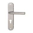 Crystal Supplies Door Handles & Knobs Lever on Plate Lock Door Handle - L301A93SN