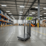 Dyllu Digital Meter Dyllu Electronic Scale 300kg - DTEC1531