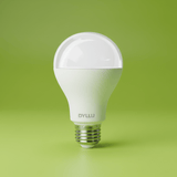 Dyllu Light Bulbs & Fixtures Dyllu LED Bulb 14W - DTDN15141