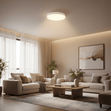 Eglo Light Bulbs & Fixtures Eglo Beramo Modern LED Ceiling Light 24V - 93584