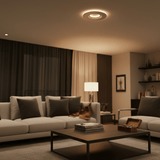 Eglo Light Bulbs & Fixtures Eglo Reducta LED Ceiling Light 19W - 96934