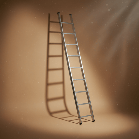 Ferral Ladder & Access Equipment Ferral Aluminium Professional Single-Section Ladder | Elite 67 Series