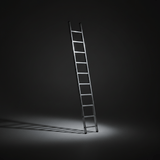 Ferral Ladder & Access Equipment Ferral Aluminium Single-Section Ladder | Trek X1 Series