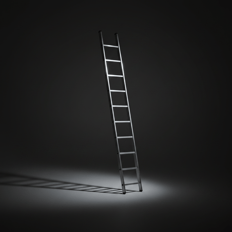 Ferral Ladder & Access Equipment Ferral Aluminium Single-Section Ladder | Trek X1 Series