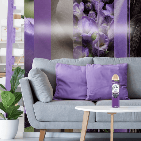 Glade Air Fresheners & Odor Control Glade Aerosol Lavender Air Freshener - 300ml