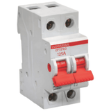 Indoasian Load Centers & Circuit Protection Indoasian Optipro1 25A 2-Pole MCB Isolator  -  DP 125A