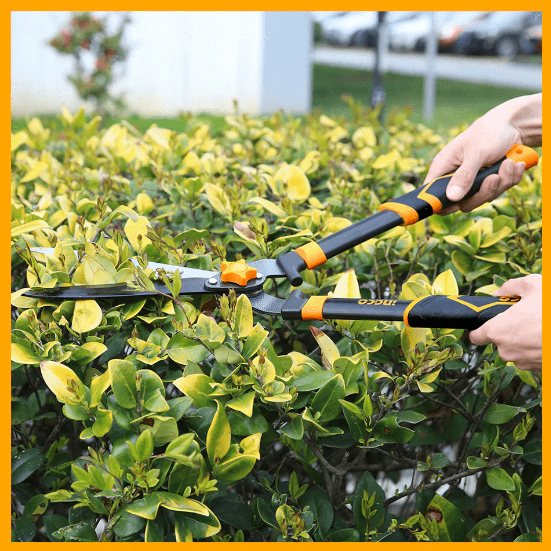 Ingco Gardening Tool Ingco 24.5" Hedge Shear with Teflon-Coated Blade – HHS6301