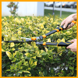 Ingco Gardening Tool Ingco 24.5" Hedge Shear with Teflon-Coated Blade – HHS6301