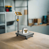 Ingco Digital Meter Ingco Cordless 300kg Lithium-Ion Scale with 12V 1.5Ah Battery - CES1303