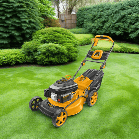 Ingco Lawn Mower Ingco Gasoline Self Propelled Lawn Mower 196cc 3.5Kw(4.8HP) - GLM196202