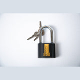 Ingco Padlocks & Accessories Ingco Iron Padlock 63mm - DIPL0631L