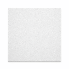 JIB JIB Vinyl Gypsum Ceiling Tiles 60 cm × 60 cm